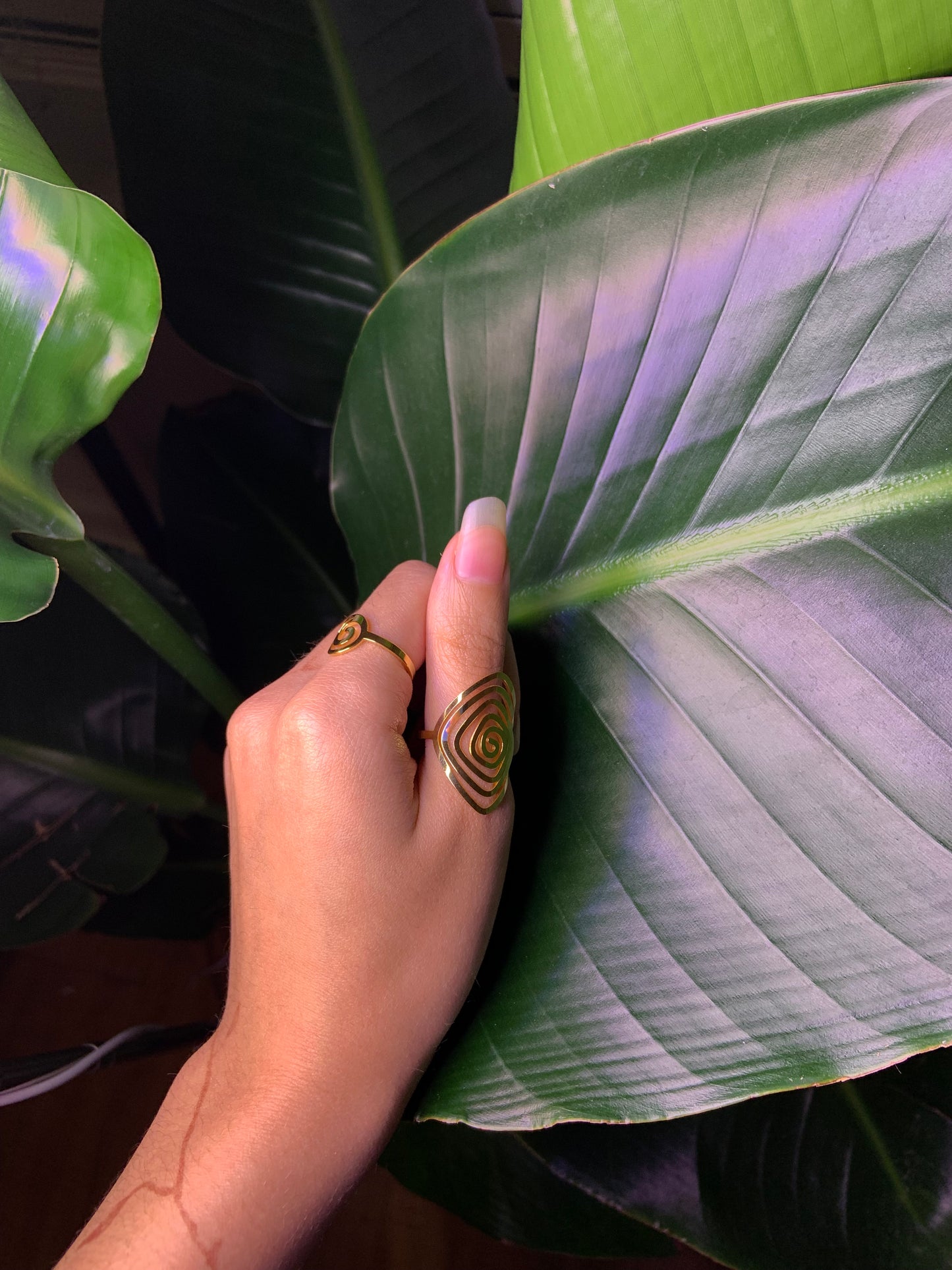 Large Golden Spiral Ring