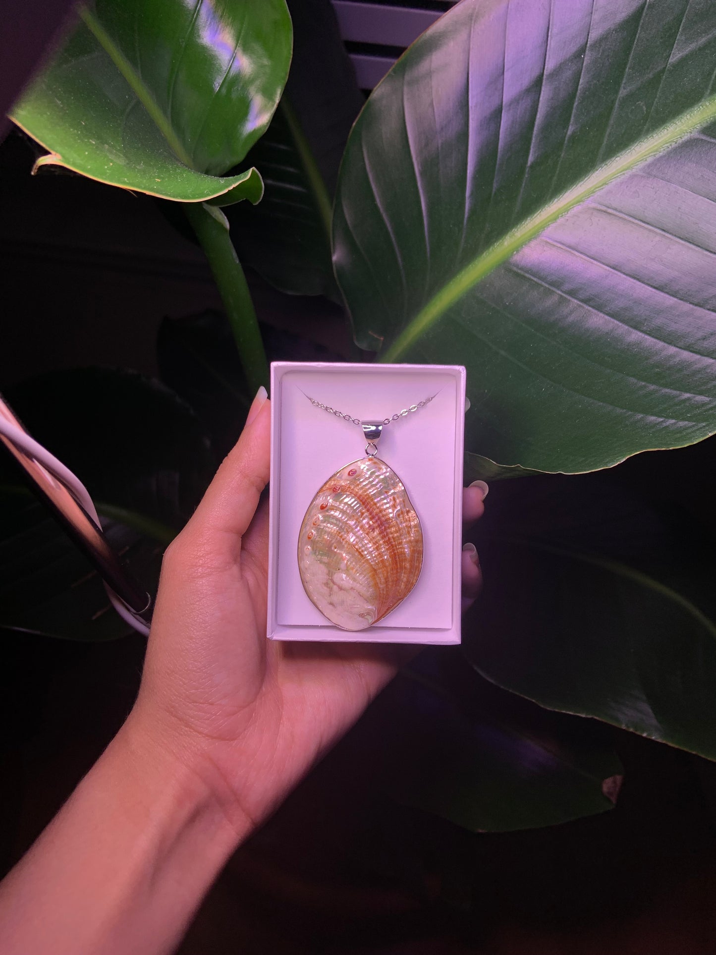 Large Seashell Pendant