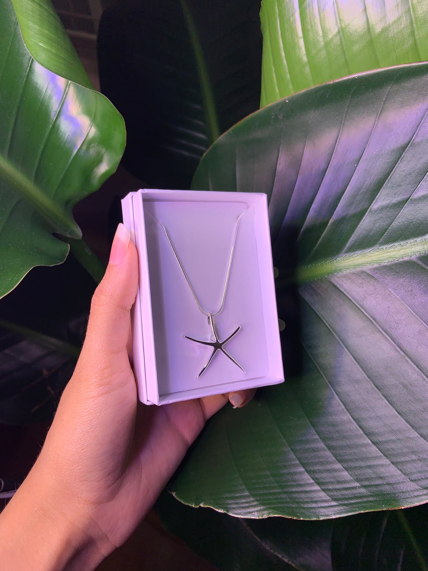 Dainty Silver Starfish